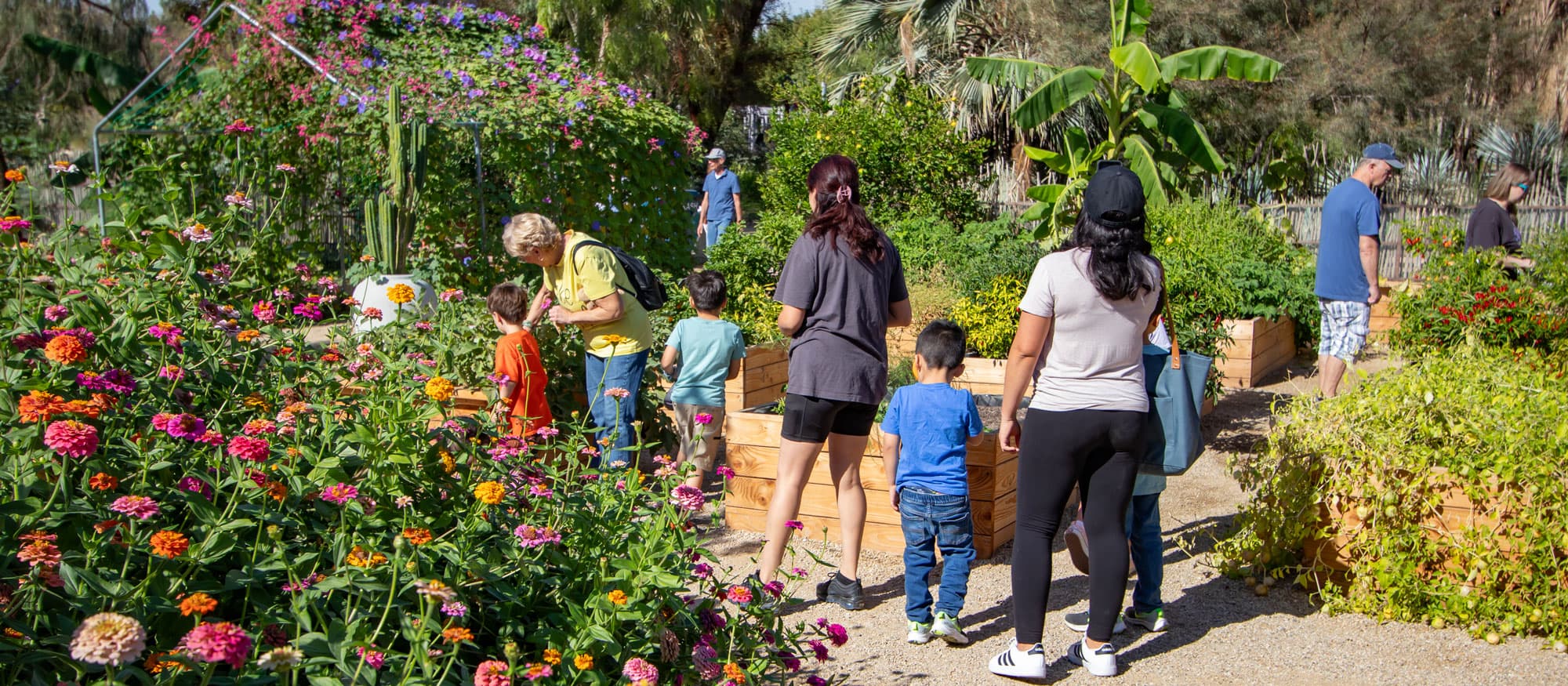 Nevada Day: entrada gratis a Springs Preserve
