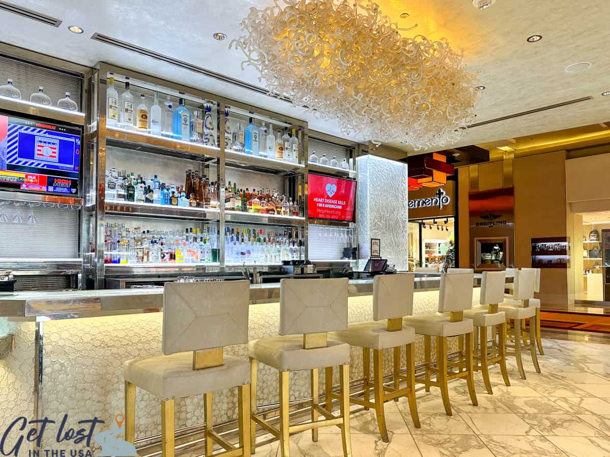 Ice Bar 4