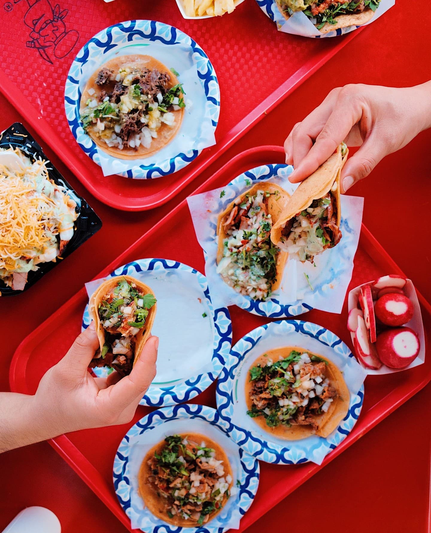Tacos El Gordo 3
