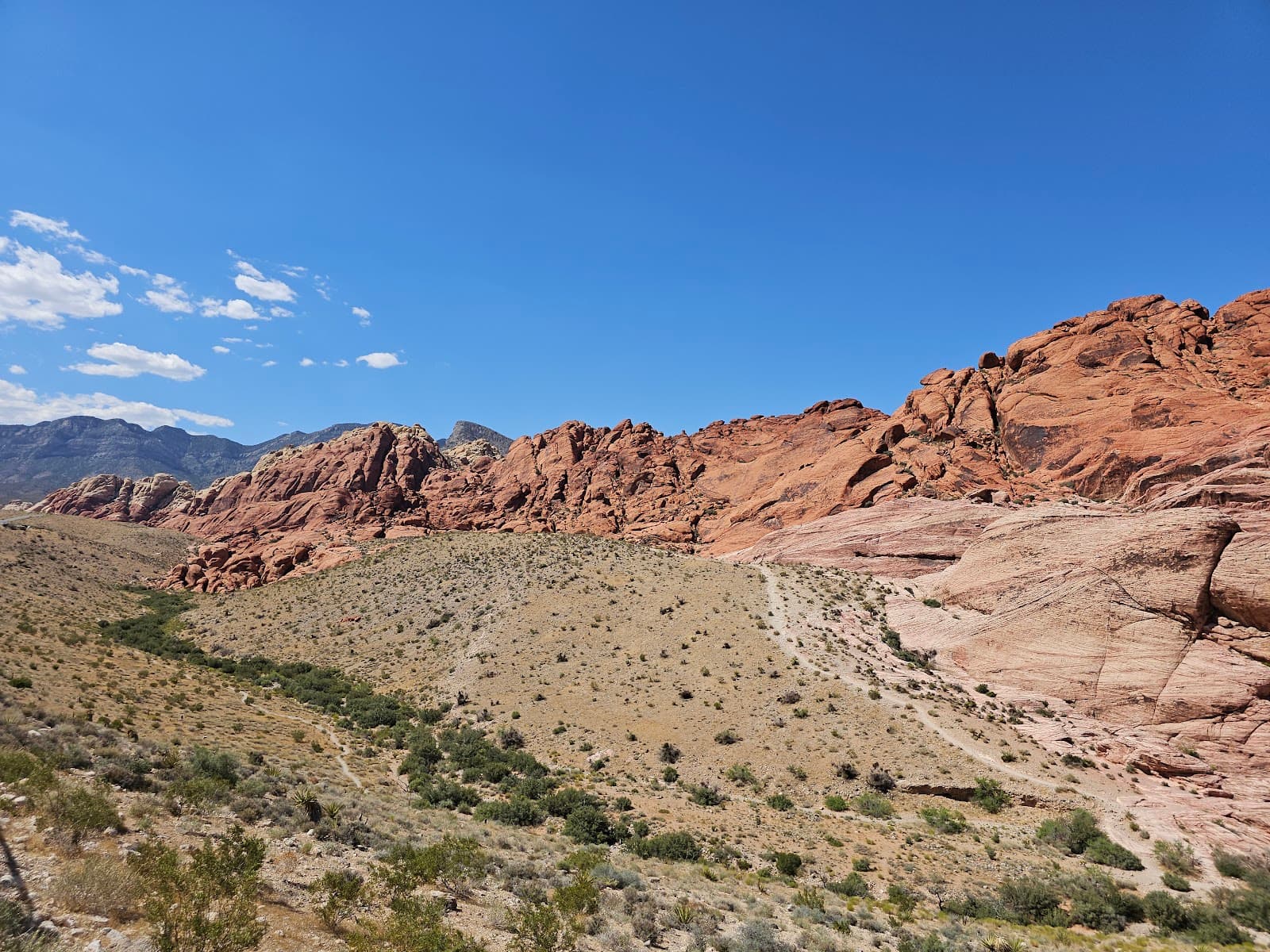 Red Rock Canyon - 8
