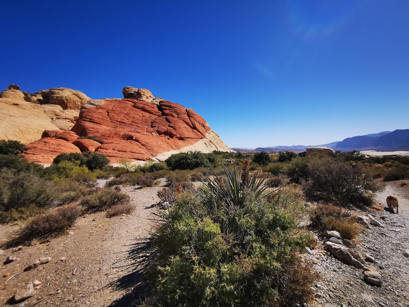 Red Rock Canyon - 5