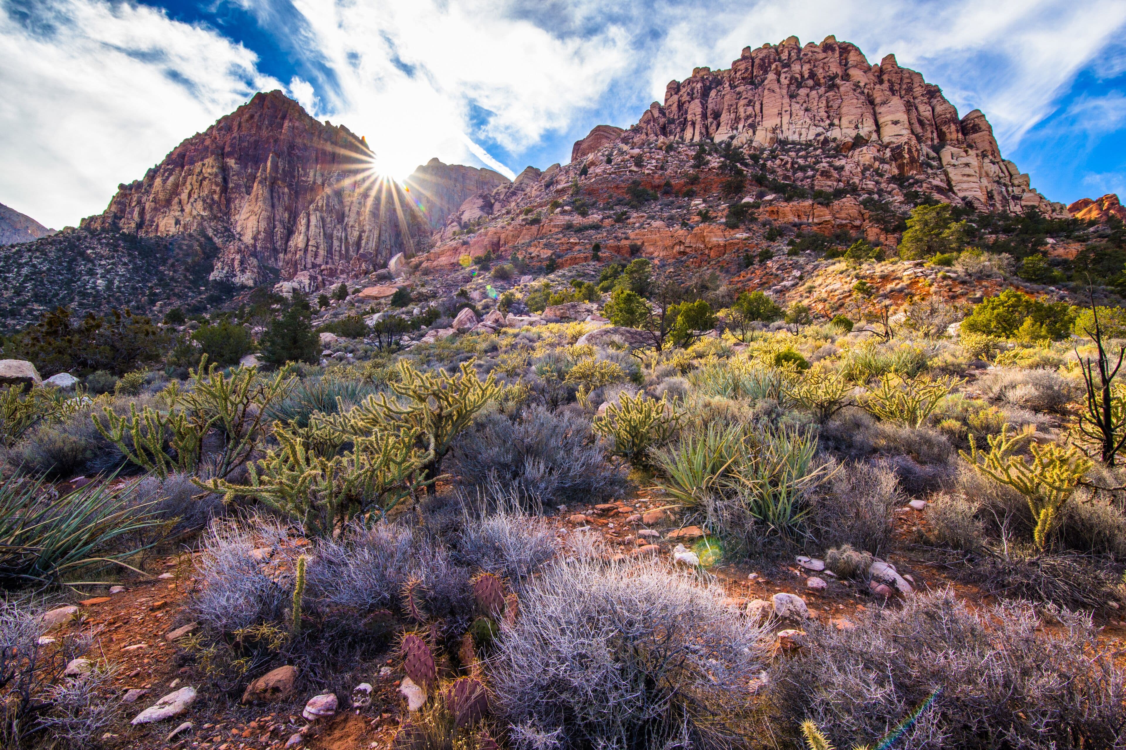 Red Rock Canyon - 9