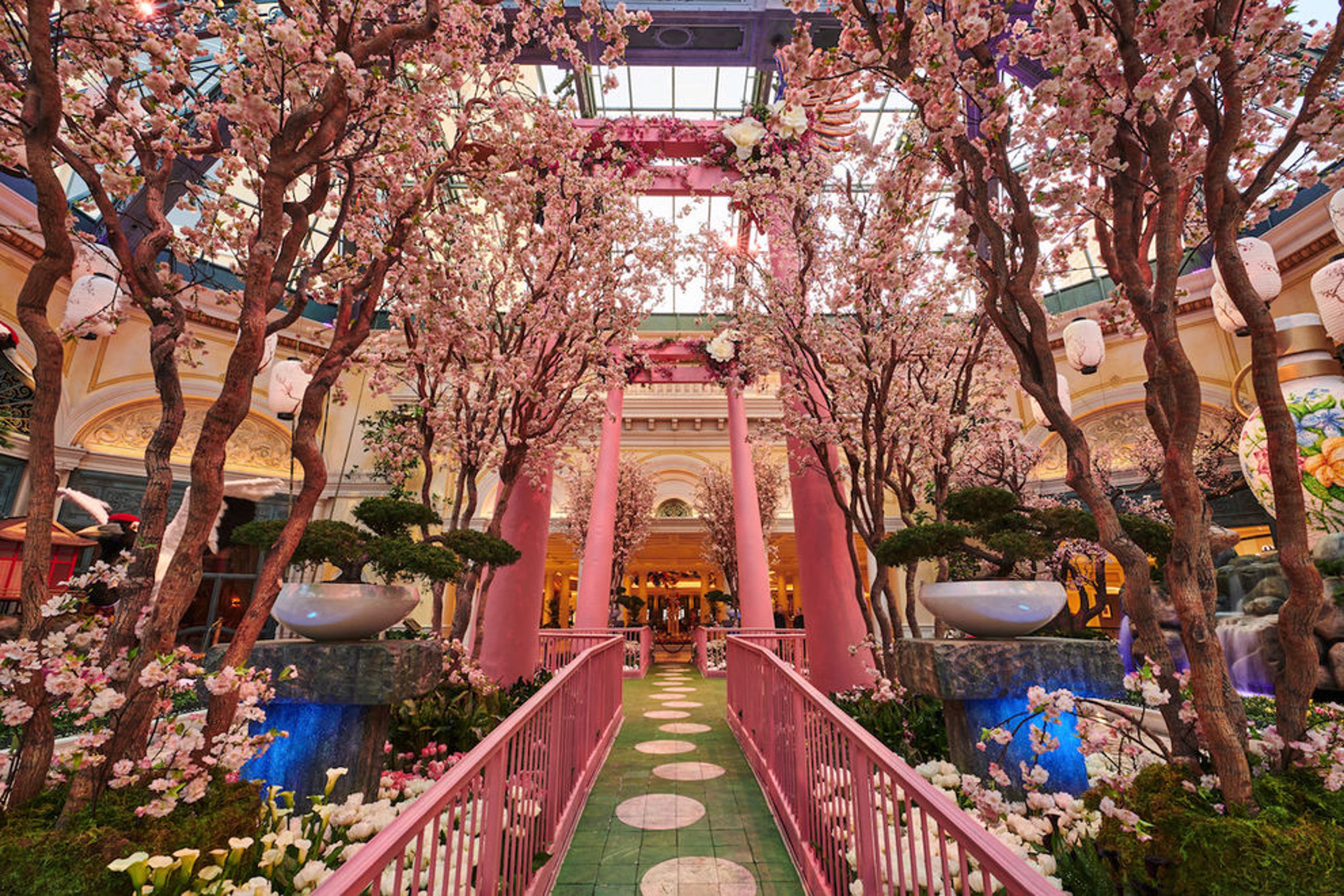 Bellagio Conservatory & Botanical Gardens 4