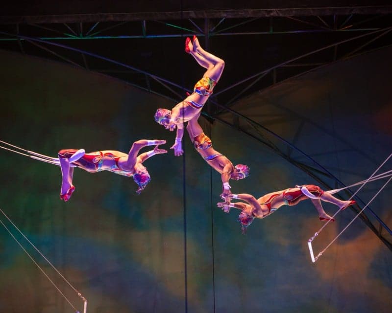 Mystère by Cirque du Soleil - 1