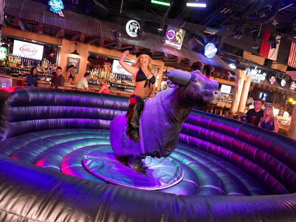 Treasure Island Hotel & Casino 18