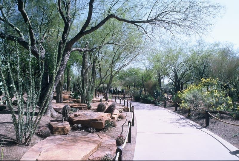 Ethel M Chocolates Factory & Cactus Garden 2