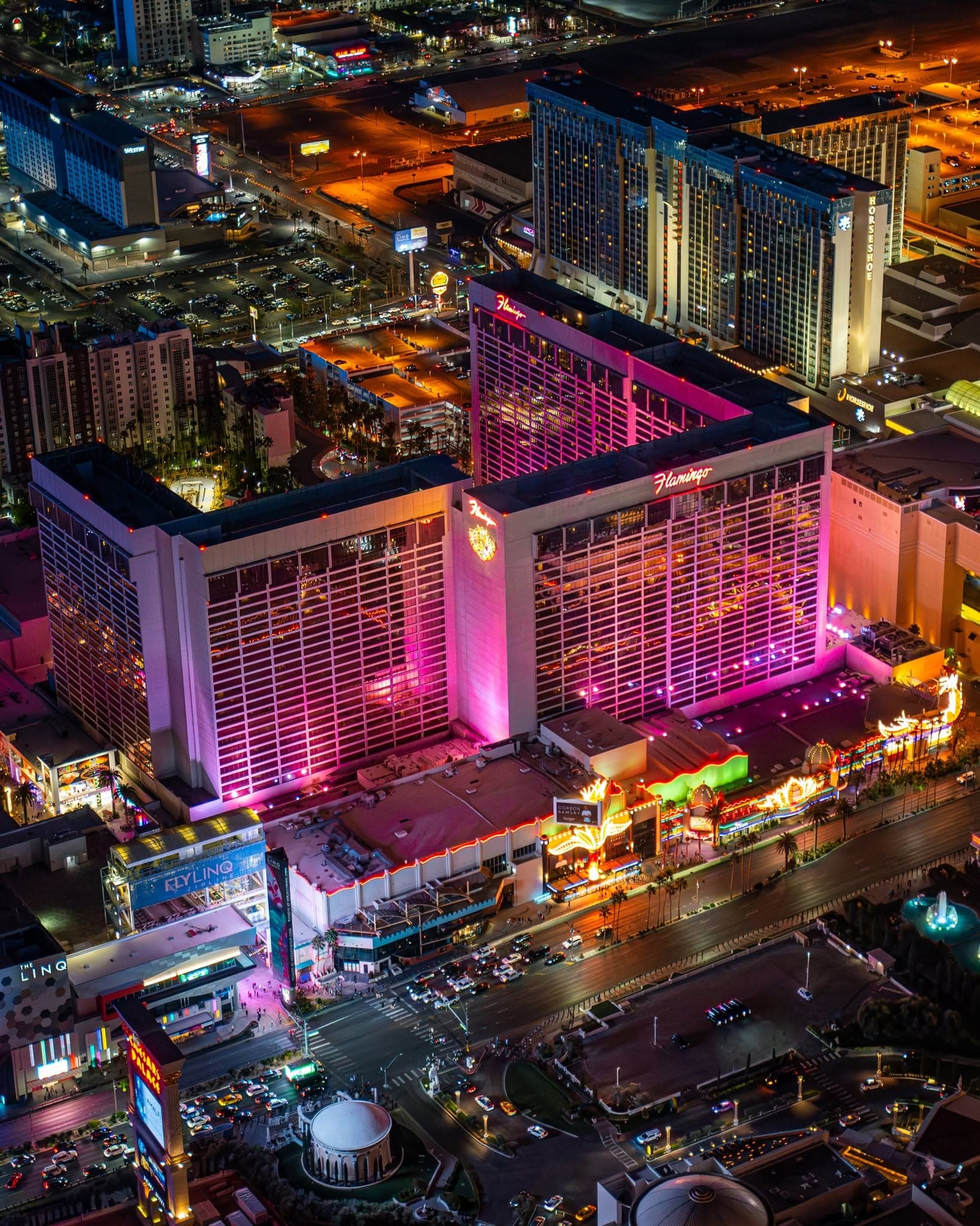 Flamingo Las Vegas - 7