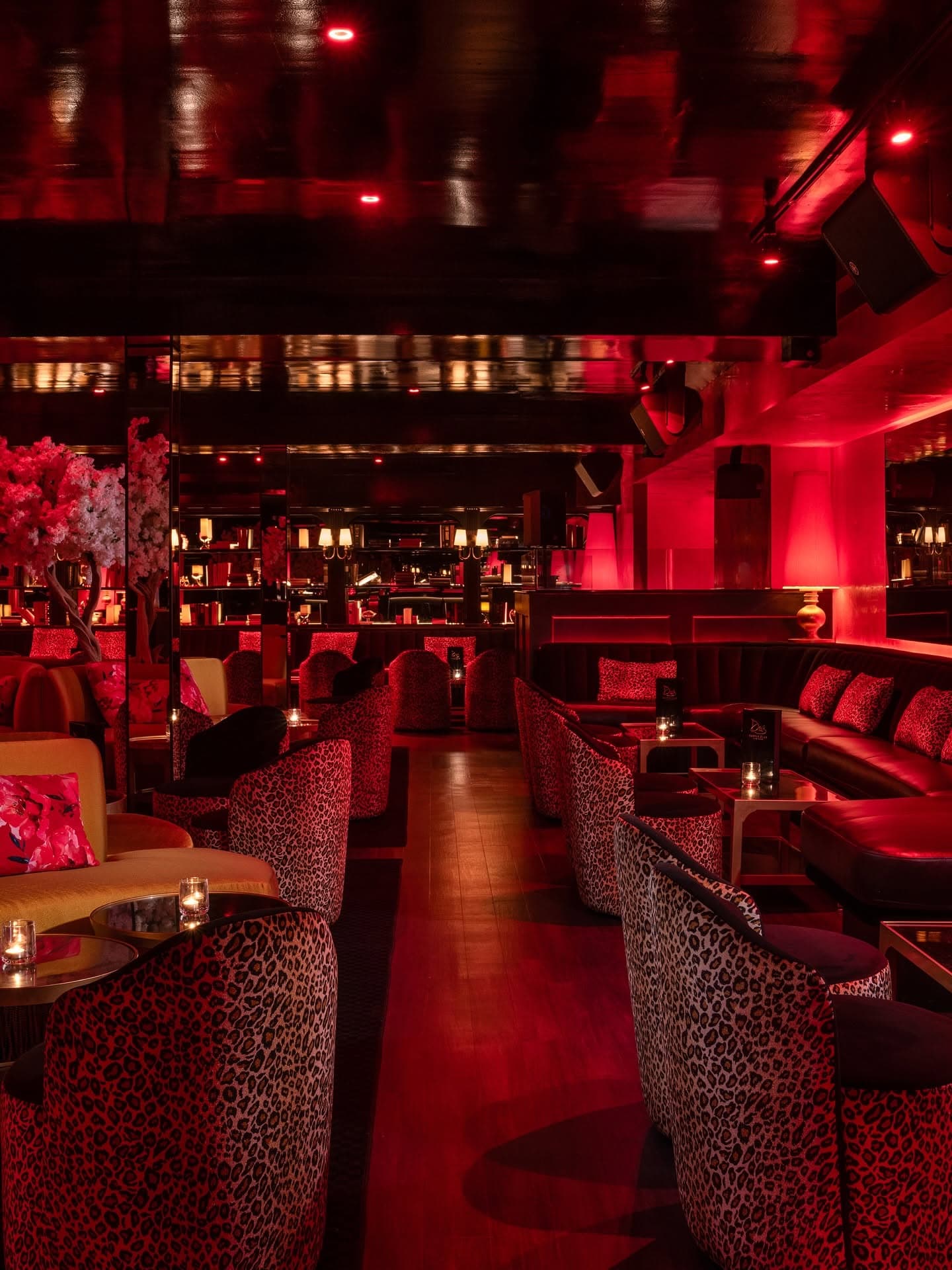 Drai's After Hours - 4