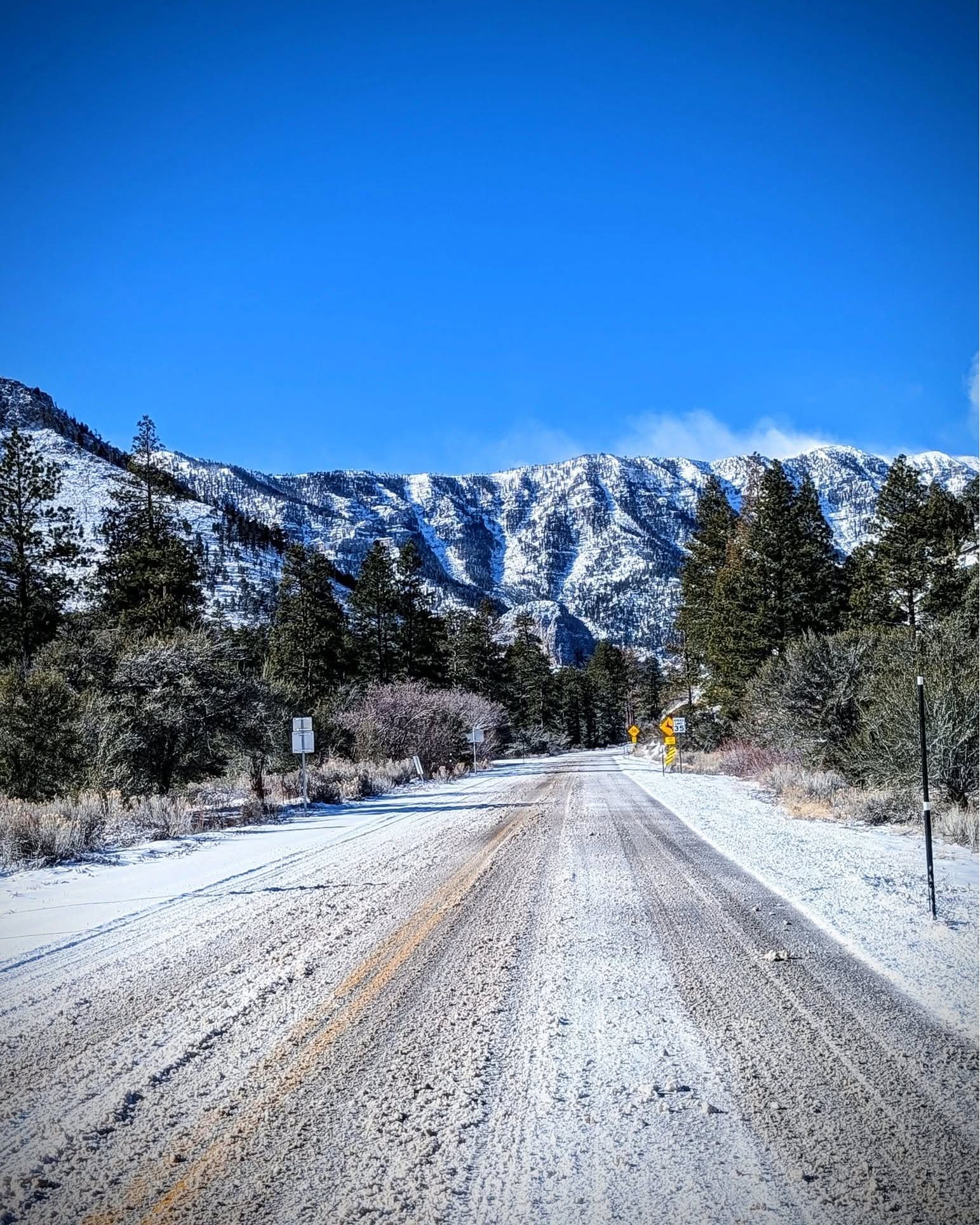 Mount Charleston - 2